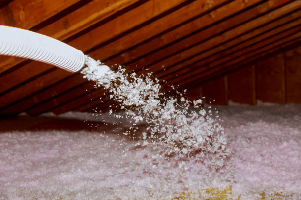Types of Insulation We Offer in Kenyon, MN