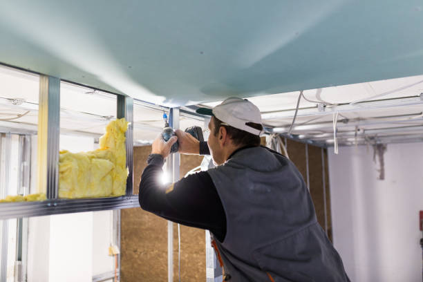 Best Residential Insulation in Kenyon, MN