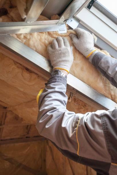 Best Blown-in Insulation in Kenyon, MN