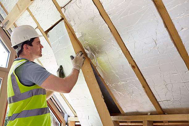 Best Energy Efficiency Insulation in Kenyon, MN