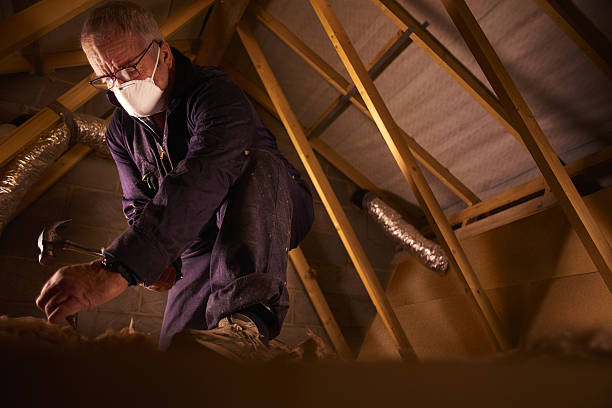 Best Geographic-Specific Insulation Services in Kenyon, MN